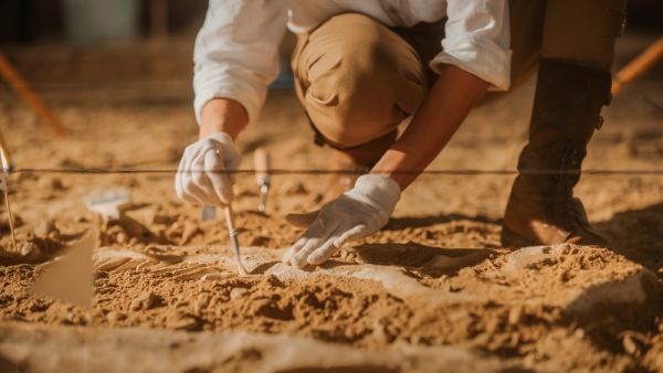 New findings expected to shed light on role of women in state governance during Hittite Empire