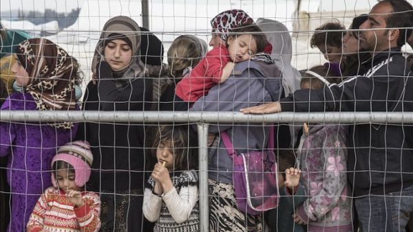 Refugees on the Belarus-Polish border (twitter.com)  Refugees on the Belarus-Polish border