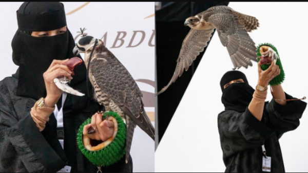 Saudi falconry festival starts in Riyadh