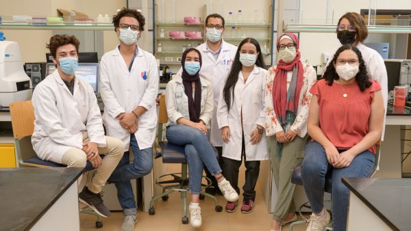 Auc Students Win a Silver Medal at the 2020 International Genetically Engineered Machine Competition