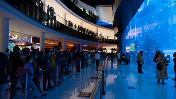 Noon.com Takes Over Dubai Aquarium With News of Yellow Friday Sale