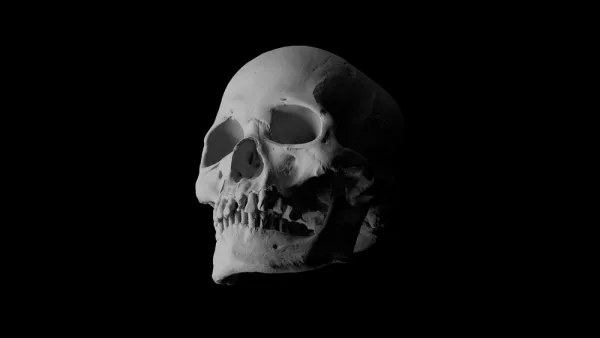 Human skull on uninhabited Caribbean island shows evidence of leprosy