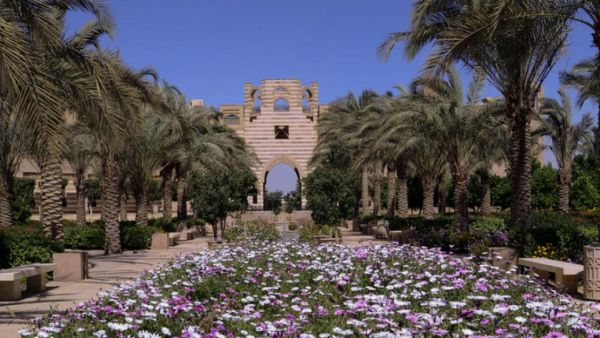AUC Tops Egypt, Africa in the 2021 University of Indonesia Greenmetric World University Rankings