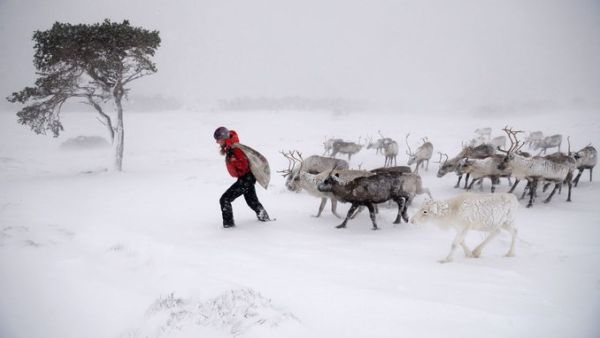 Snowy Scotland 