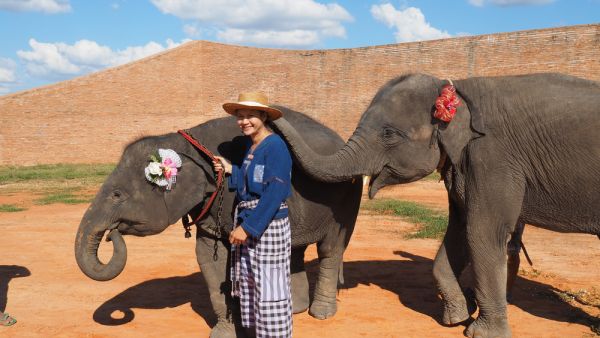 woman's hat stolen by an elephant