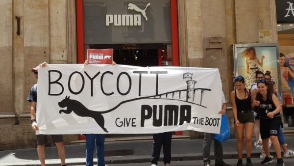 Boycott 