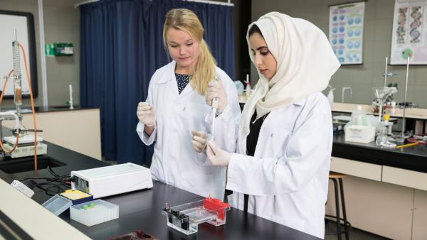Abu Dhabi University Signs Mou With Iirsm To Advance Research And Raise Awareness Of Risk And Safety In The Uae