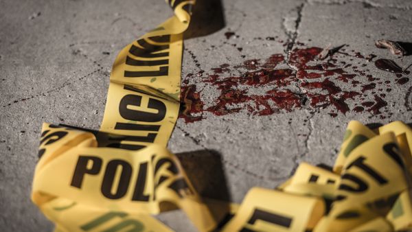 200k people sign petition to free two brothers to after they killed stepfather who raped sister