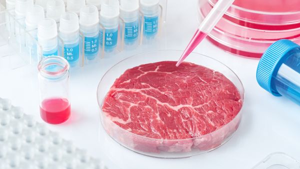 is lab-grown meat halal?