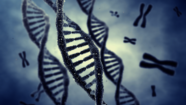 Researchers At WCM-Q And QF Collaborate With Us Scientists To Develop Screening Tool To Prevent Genetic Diseases In Qatari Population