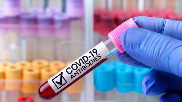 Antibodies from COVID-19 infection may last up to 20 months