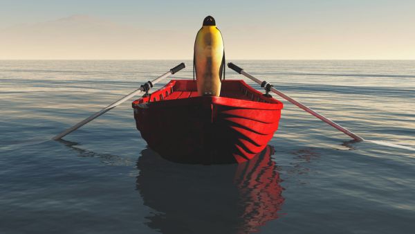Penguin jumps onto a passing boat to escape hungry seal