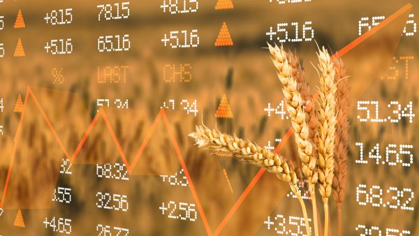 Wheat futures