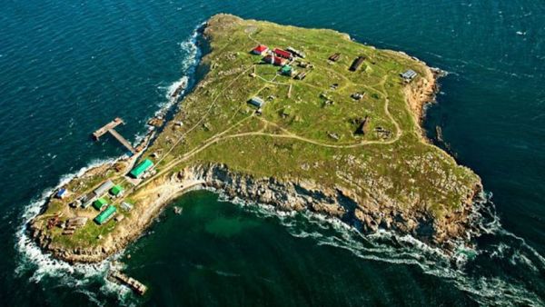 جزيرة "زمييني" (الثعبان)