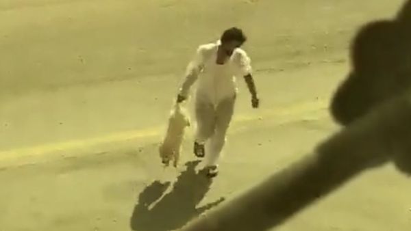 معذب كلب حي لبن بالرياض