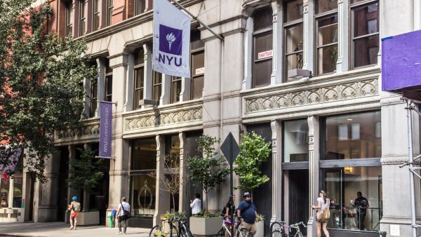 New York University 