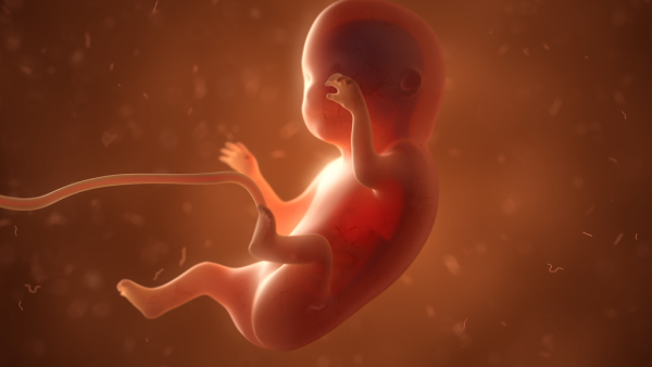 الأسبوع التاسع من الحمل