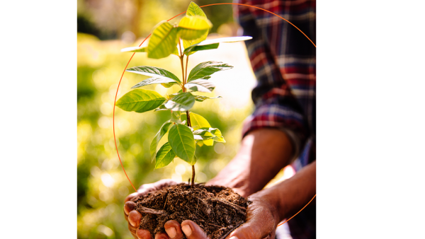 Mastercard Expands the Priceless Planet Coalition’s Forest Restoration Effort