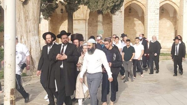 مجموعات المستوطنين تقتحم المسجد الأقصى على شكل مجموعات متتالية