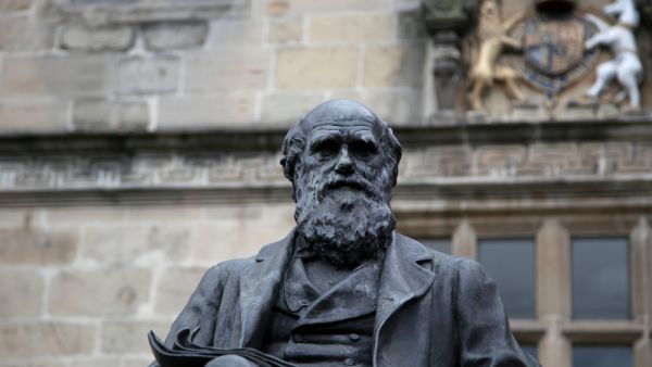Missing Charles Darwin notebooks returned after two decades