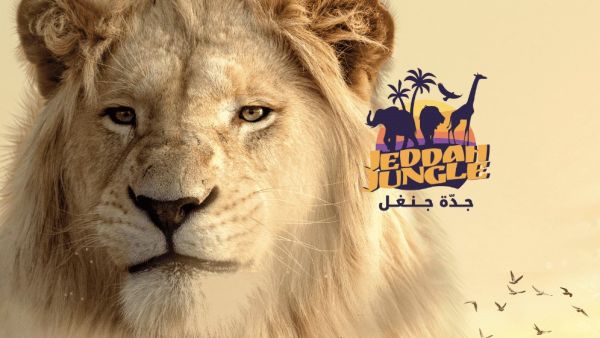 تذاكر جدة جنغل
