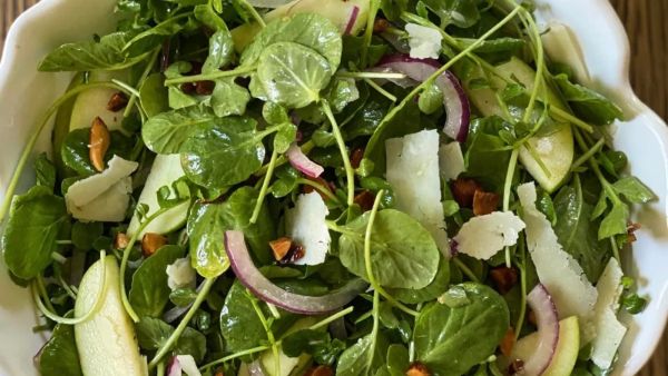 سلطات صيف 2022: سلطة البقله مع التفاح