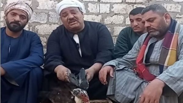  احتجاز صناع المحتوى الساخر، الذين يقيمون في أسيوط جنوبي مصر