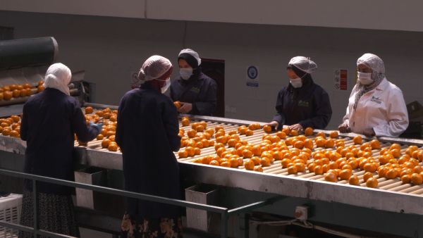 CNN’s Connecting Africa explores the food industry in Egypt