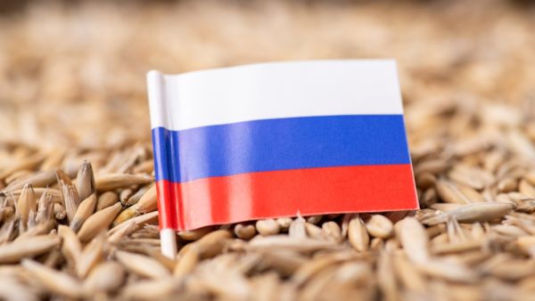Pakistan to Import Wheat from Sanctioned Russia with Cash Payment