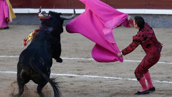 قتلى بانهيار منصة لمصارعة الثيران كولومبيا