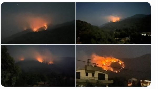 النيران تلتهم غابة بطرماز السفيري في  #الضنية