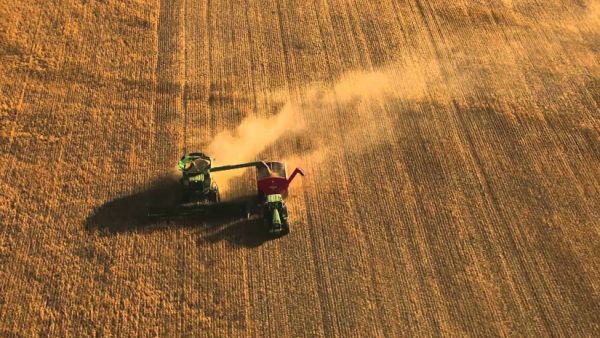 التحذير من الولايات المتحدة قد وضع هذه البلدان على مفترق طرق