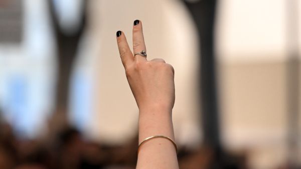 French parliamentary elections