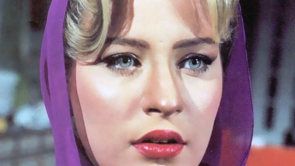 شيرين سيف النصر