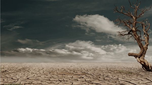معنى ورمزية الجفاف في الأحلام