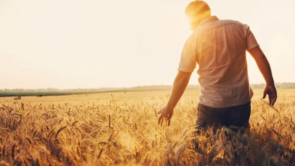 Lebanon: Wheat Farmers Reap Fields Amid Food Crisis