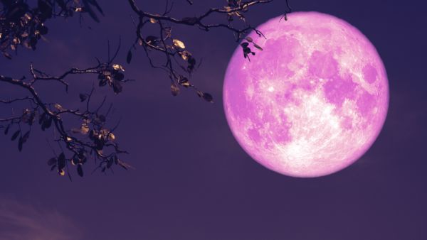 Strawberry Supermoon