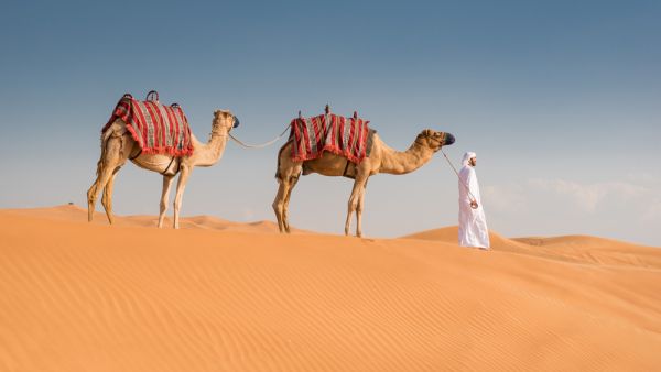 Cattle herders