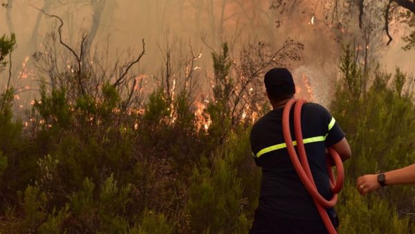 تقدم أجهزة الإطفاء المغربية في طريق احتواء حرائق الغابات