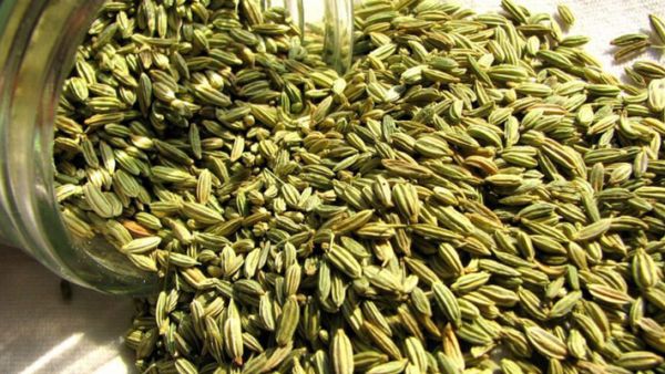 فوائد اليانسون للصدر