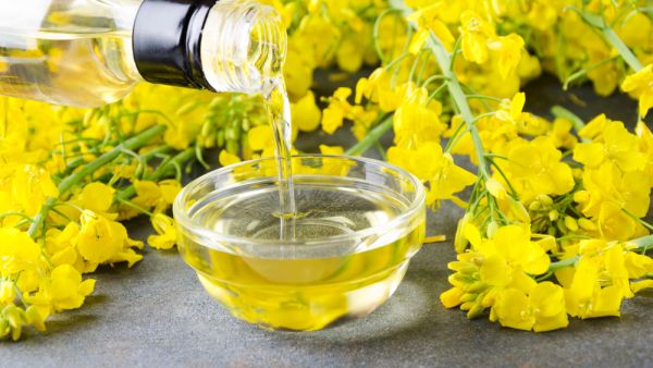 هل زيت الكانولا صحي ؟ كل ما تحتاج لمعرفته