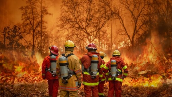 Firefighters 