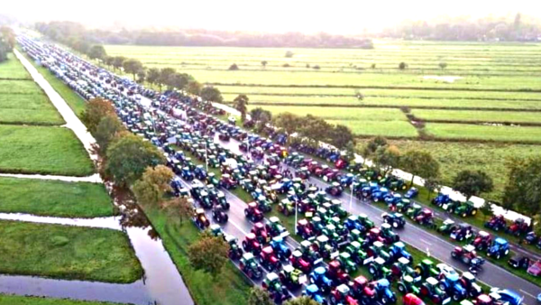 'The Dutch Rising'? Why Are Netherlands Farmers Protesting?
