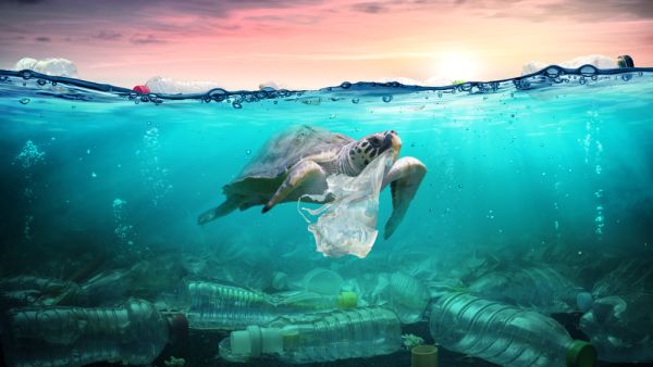 plastic waste