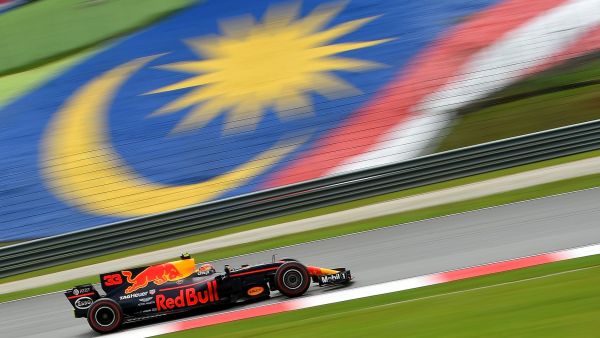 Red Bull's Dutch driver Max Verstappen drives his car during the Formula One Malaysia Grand Prix in Sepang on October 1, 2017. (Photo by MANAN VATSYAYANA / AFP)
