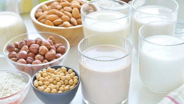 طبيب البوابة: بديل نباتي جديد لمنتجات الألبان!