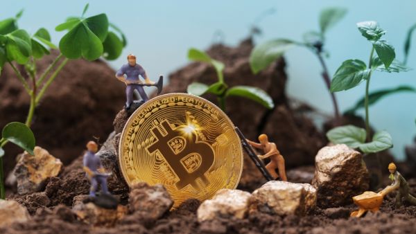8 Eco-Friendly Crypto Companies Actively Making a Difference