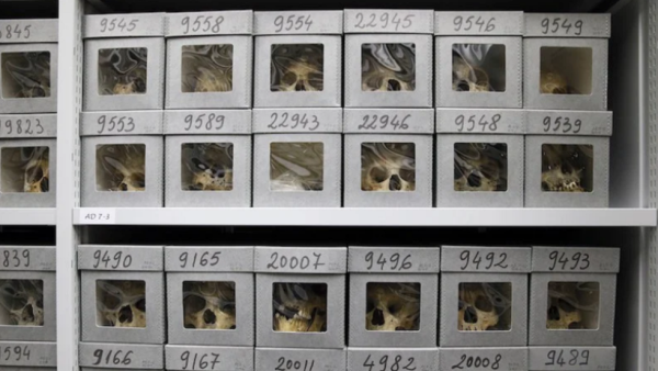 اعلنت فرنسا والجزائر عن اعادة تلك الجماجم بعد اتفاقية وقعتها الحكومتان يوم 26 يونيو لعام 2020