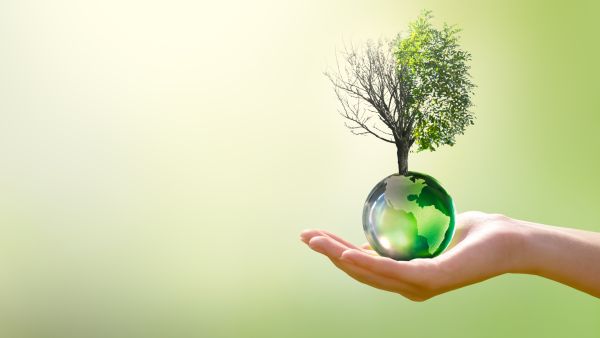 Climate crisis 