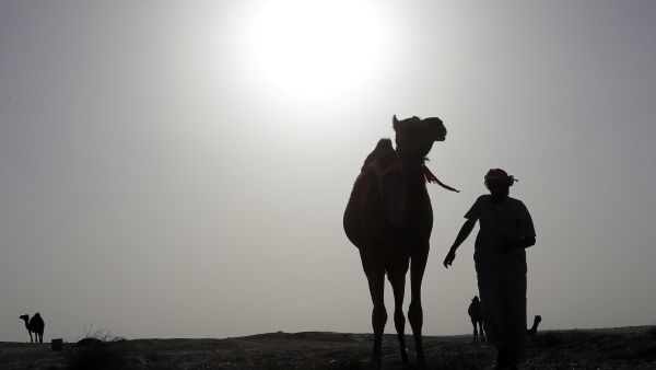 جاء المعرض احتفاءا بالسنة الهجرية الجديدة